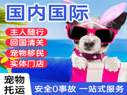 阳江合山空运地址国际宠物托运 【国